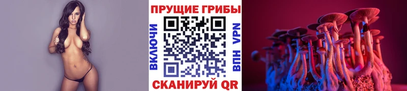 Псилоцибиновые грибы ЛСД  где продают   Усть-Джегута 