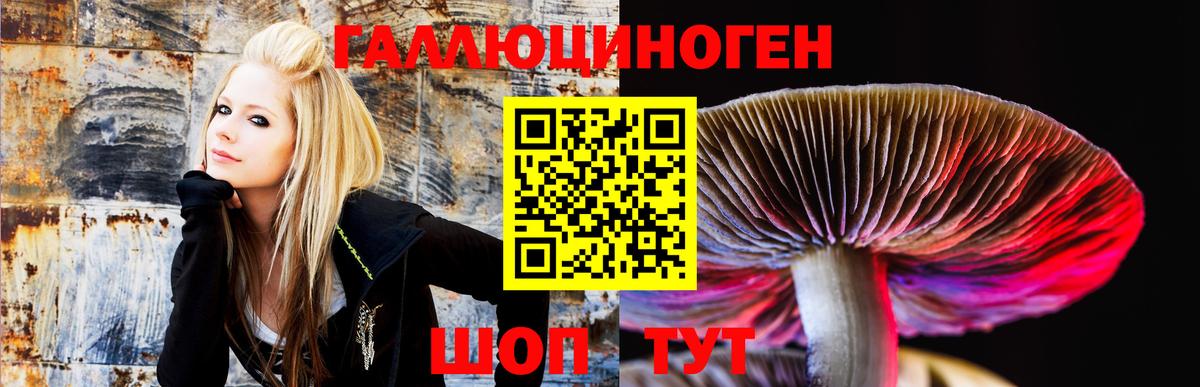 Псилоцибиновые грибы мухоморы  Псилоцибиновые грибы мухоморы  Вход с VPN  Усть-Джегута 