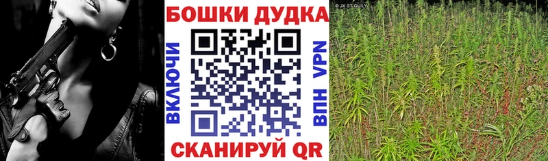 где продают наркотики  Усть-Джегута  ссылка на мегу как зайти  Конопля гибрид 